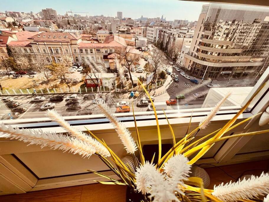 City View Studio In The Heart Of Bucharest Διαμέρισμα Εξωτερικό φωτογραφία